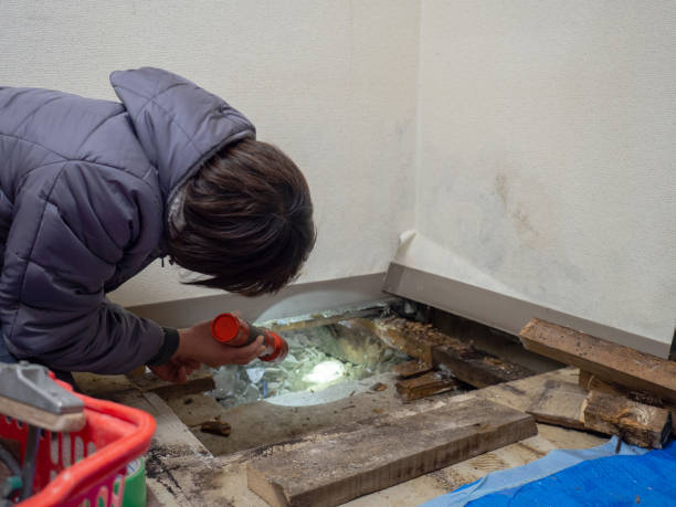 Best Mold Documentation for Insurance Claims  in Bellbrook, OH