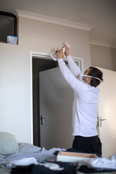 Best Black Mold Removal  in Bellbrook, OH