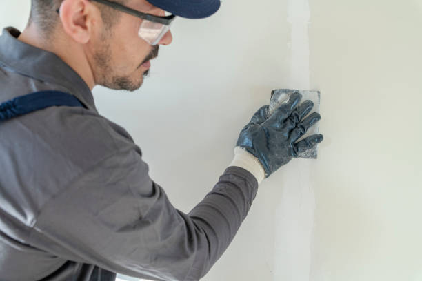 Best Forensic Mold Investigation  in Bellbrook, OH