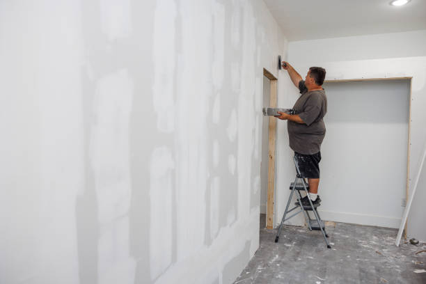 Best Comprehensive Air Testing for Mold Contaminants  in Bellbrook, OH