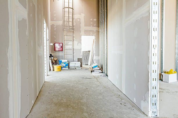 Best Attic Mold Removal  in Bellbrook, OH
